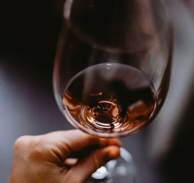 Iniciación al mundo del vino
