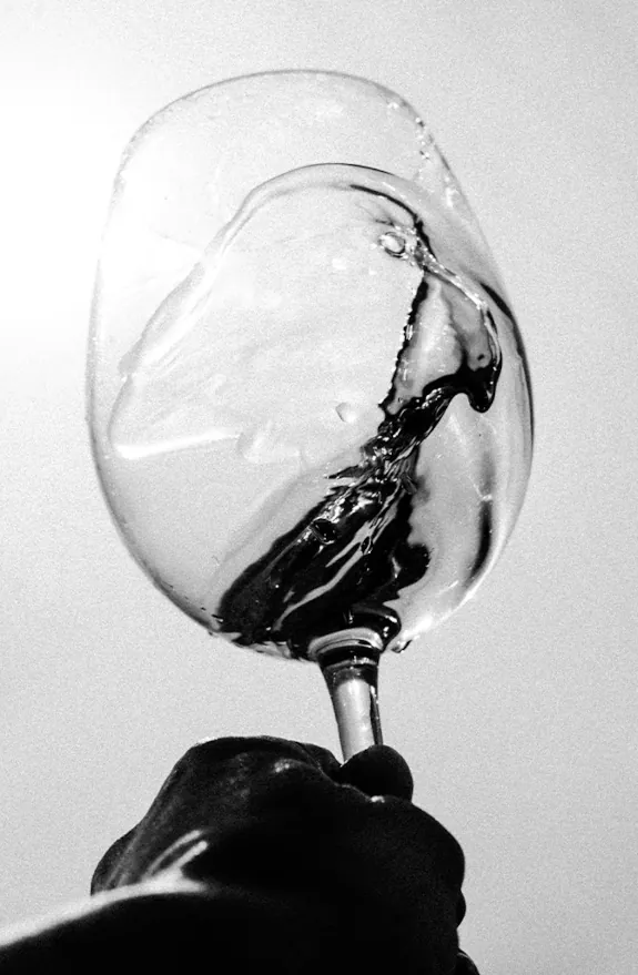 Lavinia como cuidamos el vino 1