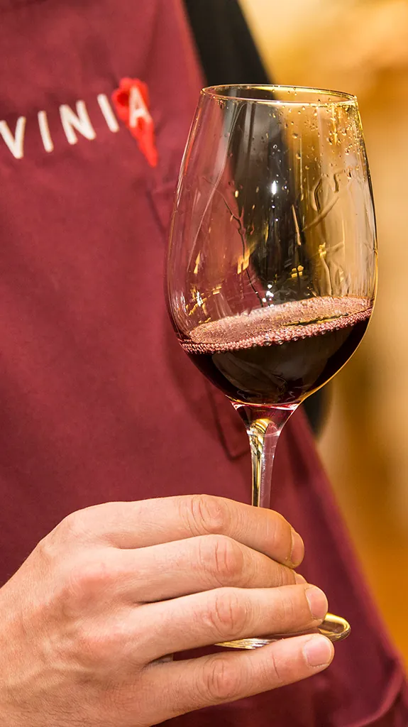 Lavinia como cuidamos el vino 2