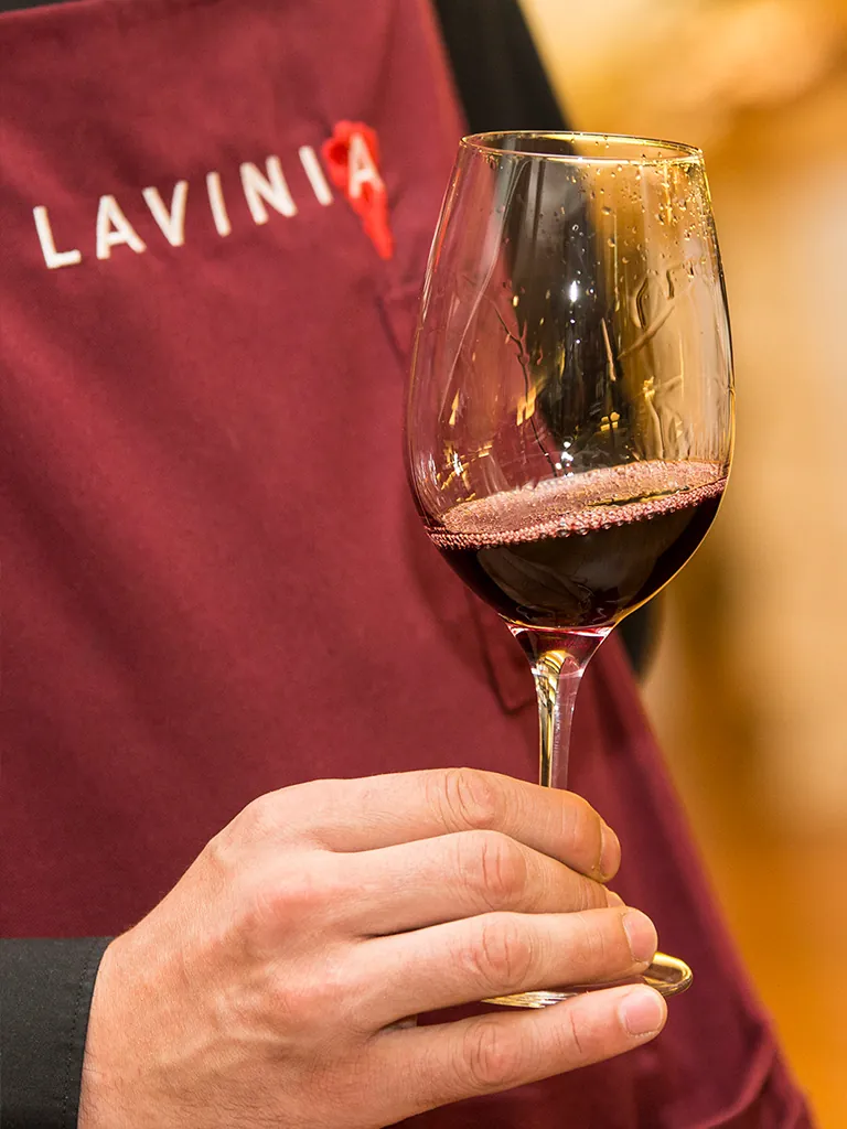 Lavinia galeria 1