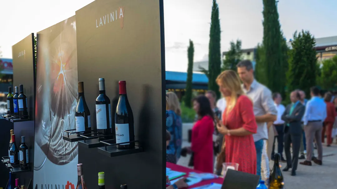 Lavinia productos y servicios 2